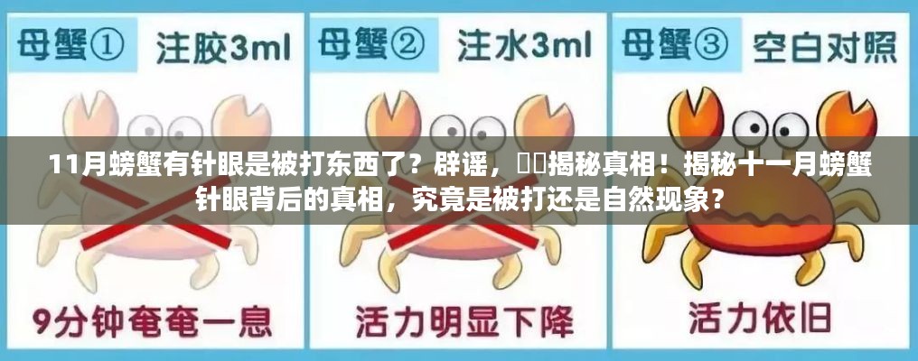 公司概况 第508页