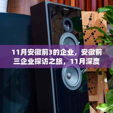 安徽前三企业探访之旅,深度攻略指南(11月版)