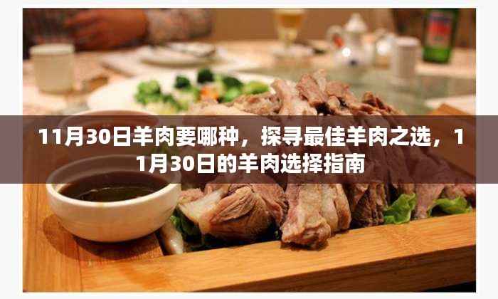 11月30日羊肉选择指南,探寻最佳羊肉之选