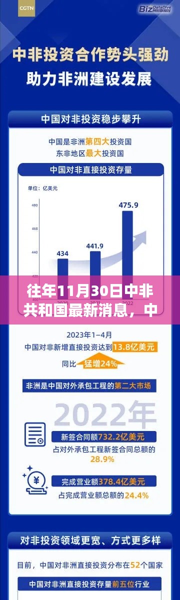 中非共和国最新消息深度回顾与洞察,往年11月30日回顾与洞察