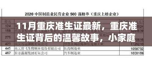 重庆准生证背后的喜悦与期待,最新动态与温馨故事