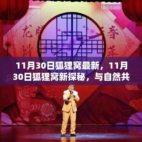 11月30日狐狸窝新探秘,与自然共舞,内心宁静乐园的追寻