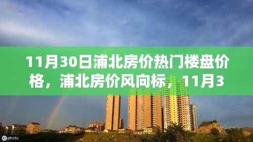 11月30日浦北热门楼盘房价探秘,最新风向标与价格走势