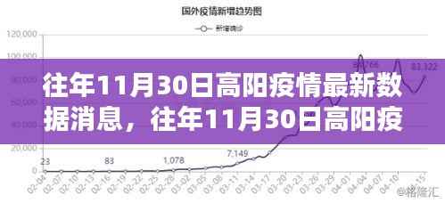 往年11月30日高阳疫情最新数据消息全解析,获取指南与初学者进阶教程