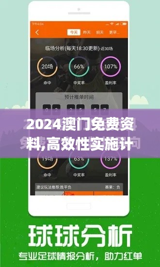 2024澳门免费资料,高效性实施计划解析_定制版4.124-2
