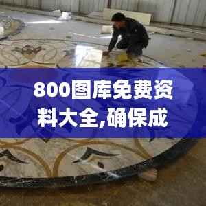 800图库免费资料大全,确保成语解析_FHD52.530-1