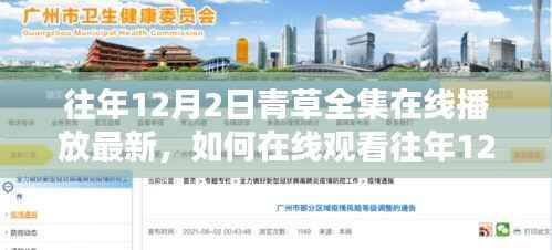 青草全集在线观看指南,初学者与进阶用户如何观看往年12月2日最新剧集