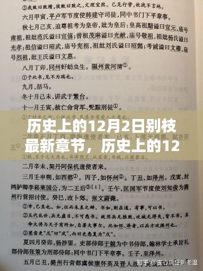 历史上的12月2日,别枝最新章节深度解析及观感分享