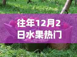 往年12月2日水果销售热潮,探索甜蜜之旅与自然美景的完美结合