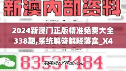 2024新澳门正版精准免费大全338期,系统解答解释落实_X49.327-1