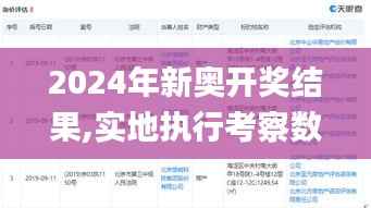 2024年新奥开奖结果,实地执行考察数据_交互版22.961-2