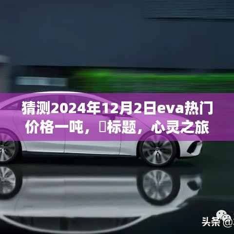 公司概况 第463页