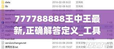 777788888王中王最新,正确解答定义_工具版13.788-6