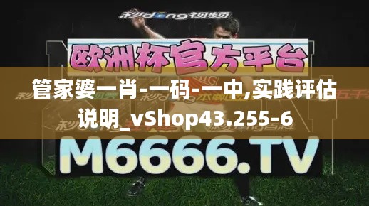 管家婆一肖-一码-一中,实践评估说明_vShop43.255-6