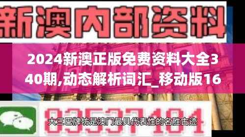 2024新澳正版免费资料大全340期,动态解析词汇_移动版166.573-1