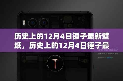 历史上的12月4日锤子最新壁纸,全面评测与详细介绍