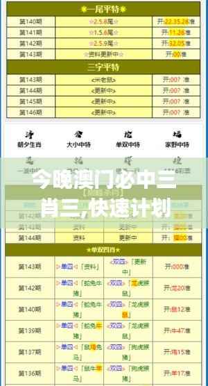 今晚澳门必中三肖三,快速计划解答设计_高级版54.920