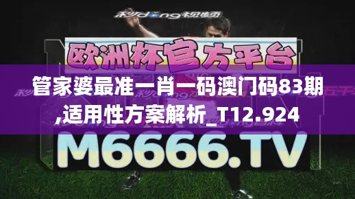管家婆最准一肖一码澳门码83期,适用性方案解析_T12.924