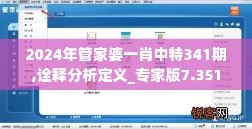 2024年管家婆一肖中特341期,诠释分析定义_专家版7.351