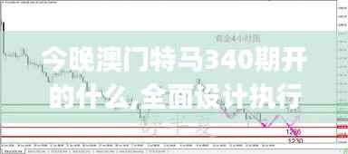 今晚澳门特马340期开的什么,全面设计执行策略_专属款19.861