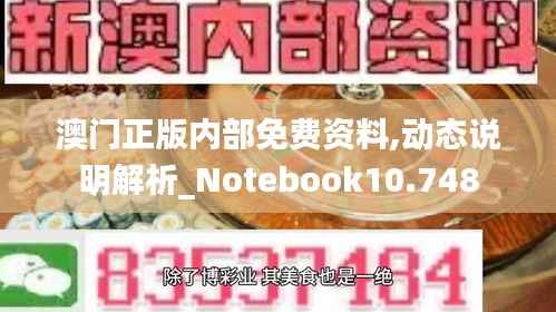 澳门正版内部免费资料,动态说明解析_Notebook10.748