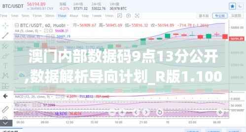 澳门内部数据码9点13分公开,数据解析导向计划_R版1.100