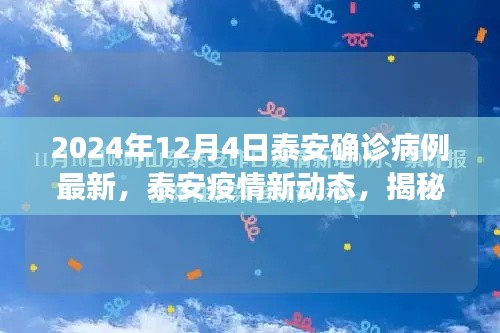 泰安疫情最新动态,揭秘确诊病例背后的故事与影响(截至2024年12月4日)