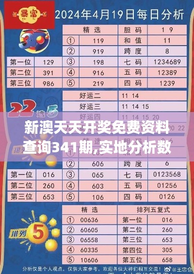 新澳天天开奖免费资料查询341期,实地分析数据设计_专属款2.306