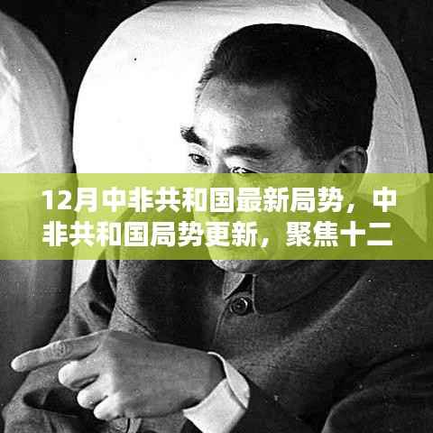 中非共和国局势最新动态,十二月更新聚焦