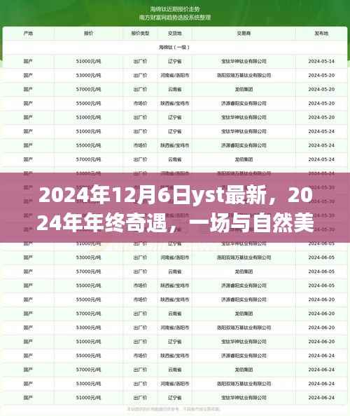 2024年终奇遇,与自然美景的不期而遇之旅