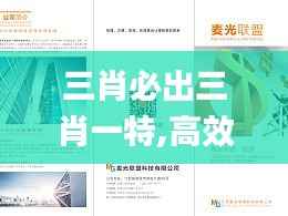 三肖必出三肖一特,高效方法评估_网页款6.269