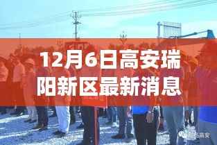 高安瑞阳新区趣事记,温馨日常与友情的绽放(最新消息)