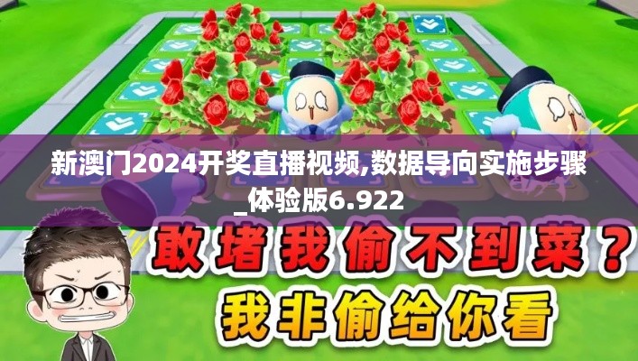 新澳门2024开奖直播视频,数据导向实施步骤_体验版6.922