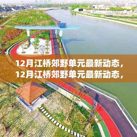 12月江桥郊野单元,生态发展与人文建设的和谐共融最新动态