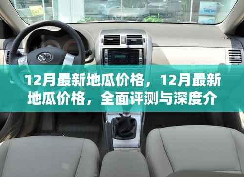 12月最新地瓜价格,12月最新地瓜价格,全面评测与深度介绍
