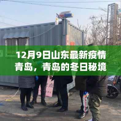 青岛疫情下的冬日秘境,与自然对话的奇妙旅程