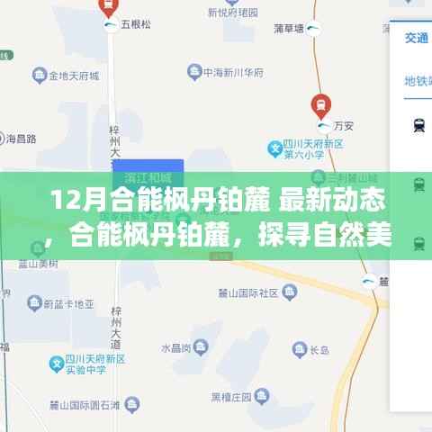 三人成虎 第3页