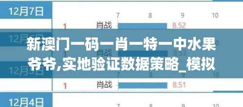 新澳门一码一肖一特一中水果爷爷,实地验证数据策略_模拟版1.282