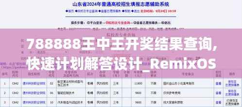 788888王中王开奖结果查询,快速计划解答设计_RemixOS9.429