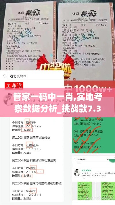管家一码中一肖,实地考察数据分析_挑战款7.349