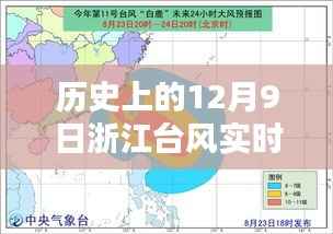 历史上的浙江台风实时发布系统深度评测与介绍，聚焦12月9日的台风动态数据发布系统分析