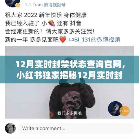 小红书独家揭秘,12月实时封禁状态查询官网全攻略——账号安全无忧,守护你的网络世界!