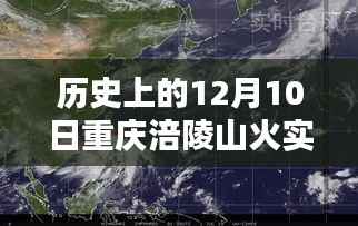 历史上的12月10日重庆涪陵山火实时预报深度解析与案例分析
