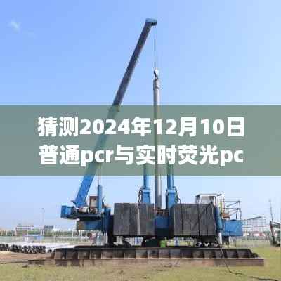 普通PCR与实时荧光PCR技术发展趋势对比预测,至2024年12月10日的展望与探讨