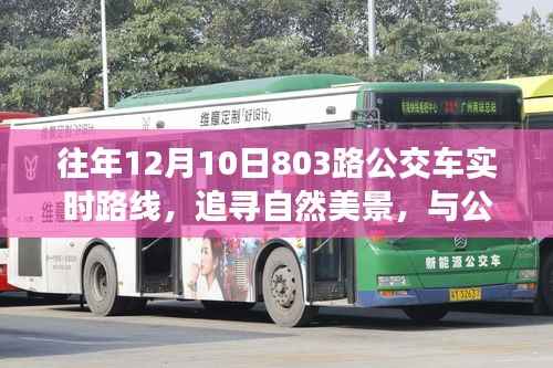 追寻自然美景,与公交803路公交车共舞的心灵之旅,往年路线回顾