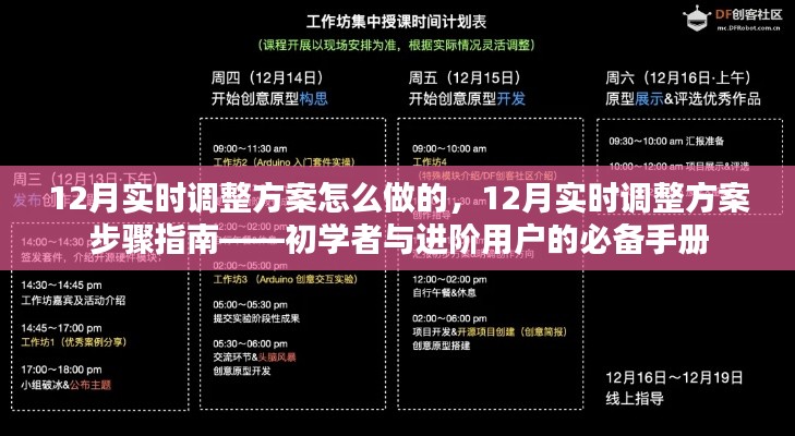 12月实时调整方案步骤详解,初学者与进阶用户的必备指南