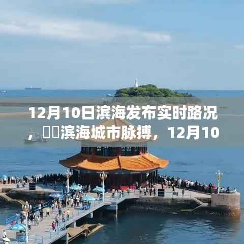 滨海城市脉搏，深度解析滨海城市实时路况报告（12月10日）