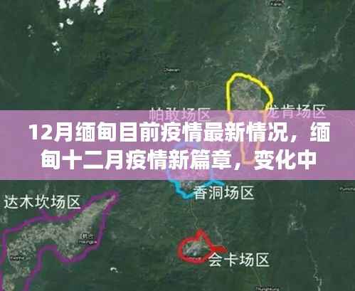 缅甸12月疫情最新动态,力量与智慧共舞,自信照亮未来之路