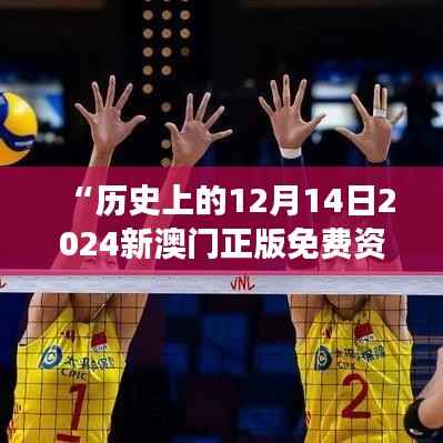 “历史上的12月14日2024新澳门正版免费资本车:交通公平性的体现”