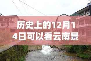 历史上的十二月十四日,云南景区实时人数揭秘与特色小店探秘之旅